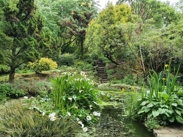 highdown_garden_worthing_windsor_house